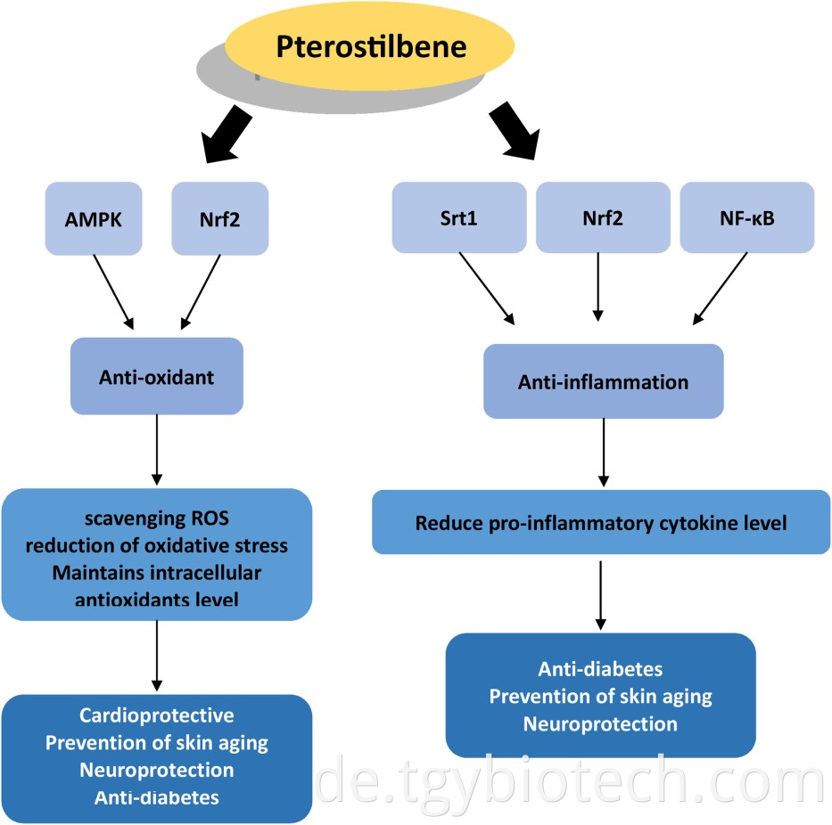 Pterostilbene Powder